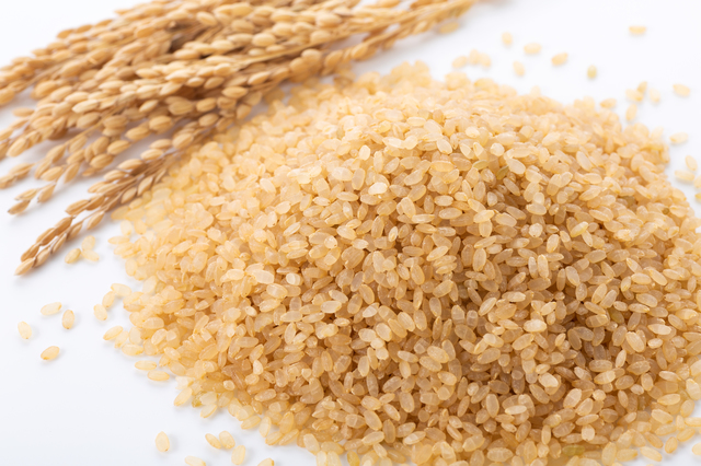 グレインフリーキャットフードについて