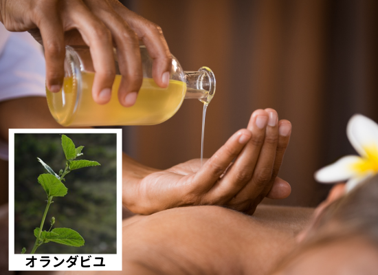 バクチオールとは01