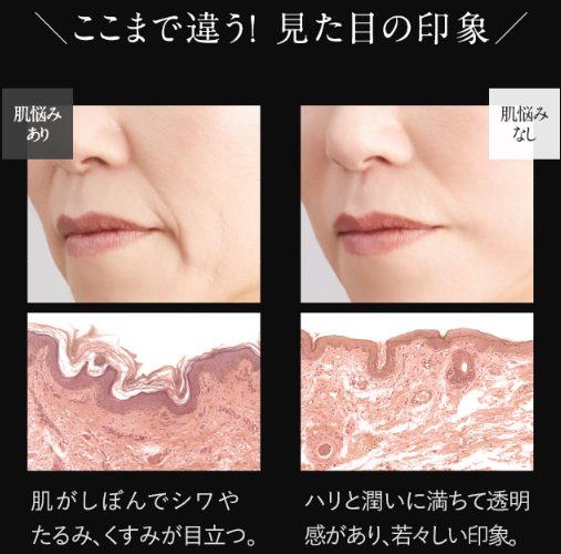 マキアレイベル16