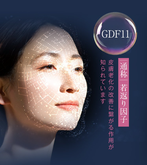 オルビスユードット24