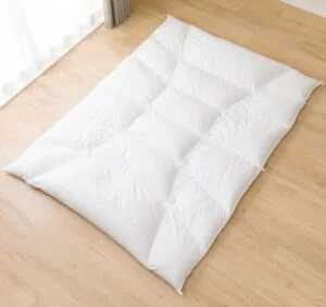 ニトリふんわりあったか羽毛布団