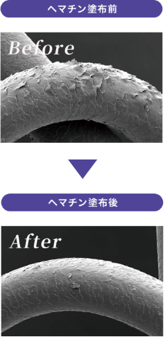 「ヘマチン」ですばやく美しい髪に変身！