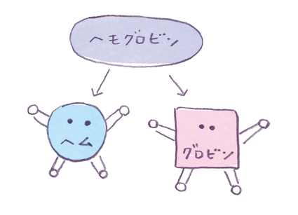 ヘマチンは血液をもとにつくられる