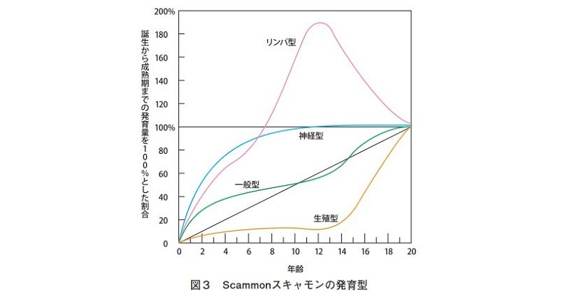 おもちゃのサブスク知育効果01