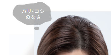 ハリ・コシ のなさ